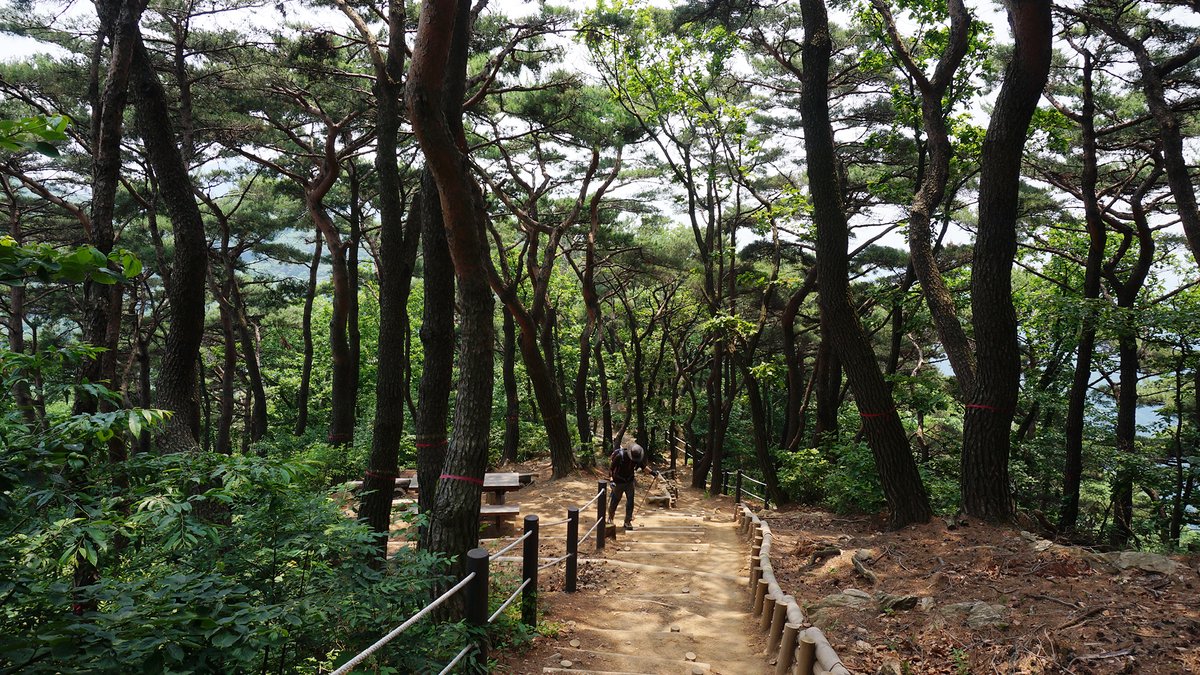 Cheonggyesan photo 2
